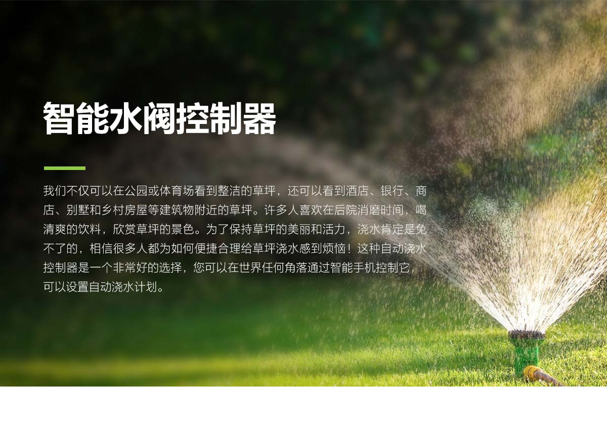 WIFI���ܹ�ȿ�����4·