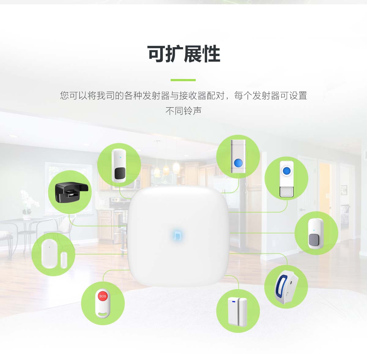 H1+�����Ŵ�